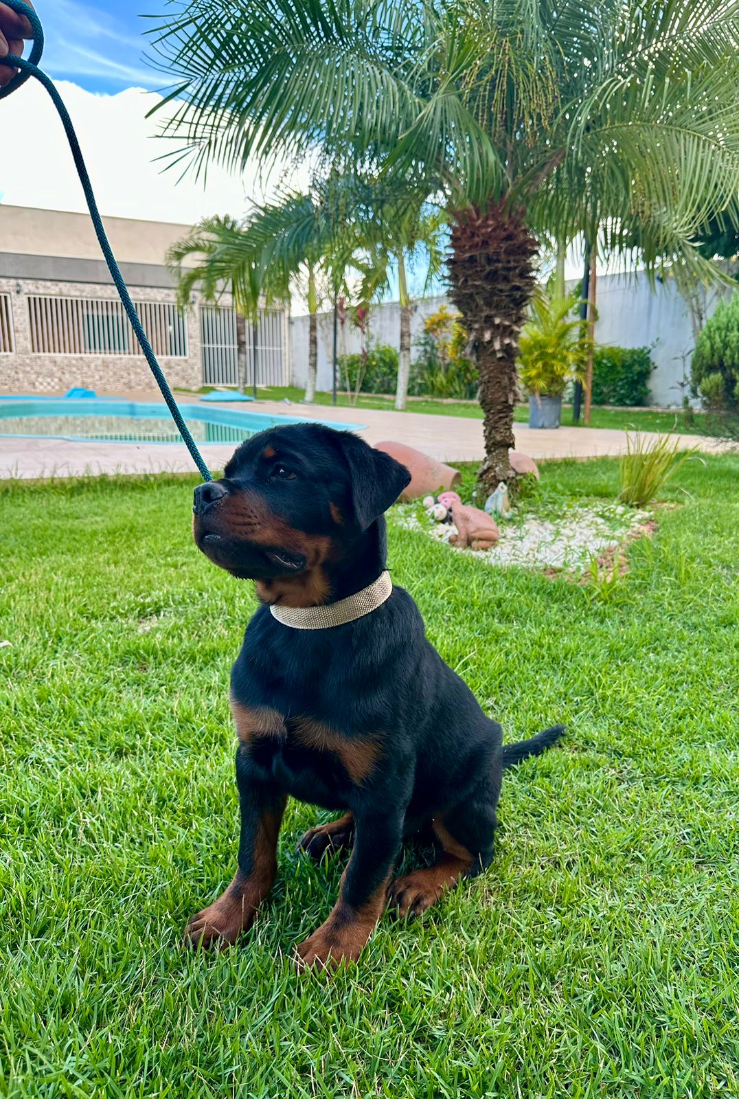 Foto de Vini