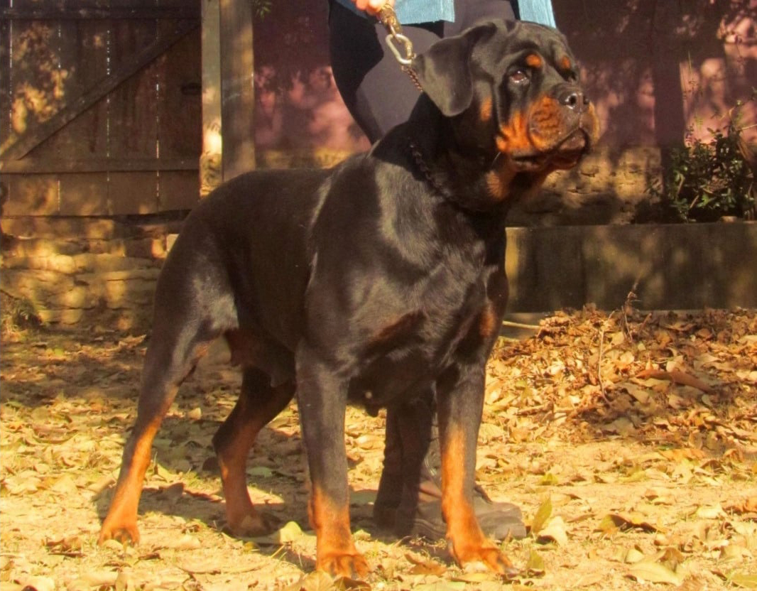 Foto de LENEN R. VON NORDEN